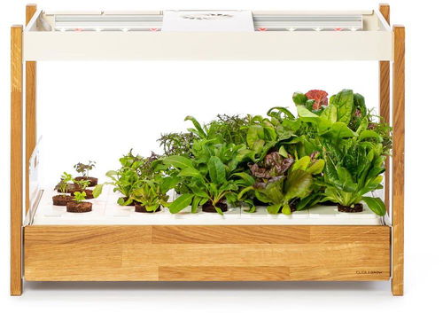 Click and Grow 25, bílá - Chytrý květináč - Hlavní obrázek