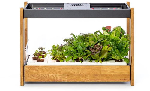 Click and Grow 25, black - Smart Flower Pot - Main image