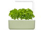 Smart-Blumentopf Click And Grow Smart Garden 3 Salbei grün - Chytrý květináč