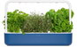 Smart Flower Pot Click and Grow Smart Garden 9 blue - Chytrý květináč