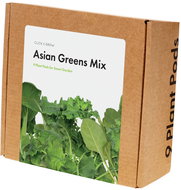 Click and Grow Mix asijské kuchyně - Sazenice
