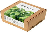 Click and Grow Basil Mix - Seedling Planter