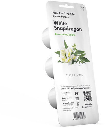 Click and Grow Weißes Löwenmaul - Setzling - Hauptbild