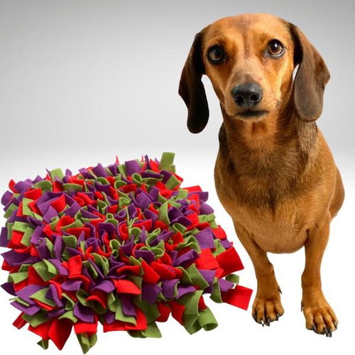 Sniffing rug Red-green-purple Size: O 30cm - round - Snuffle Mat - Main image