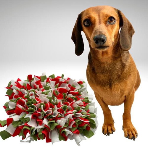 Sniffing rug Red-green-white Size: 30x15cm - Snuffle Mat - Main image