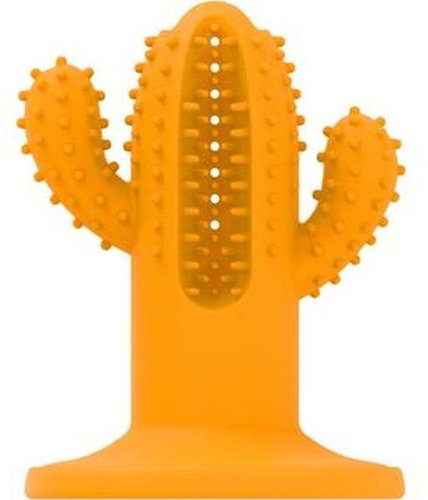 AFP Dental chewing cactus orange - 12 cm - Dog Toy - Main image