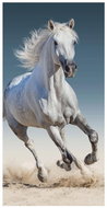Jerry Fabrics Towel Horse 03 70×140 cm - Children's Bath Towel