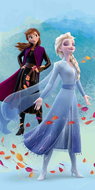 Jerry Fabrics Frozen Wind - Children's Bath Towel