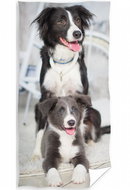 Carbotex Border Collie - Children's Bath Towel