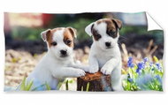 Carbotex Brothers Jack Russell Terrier - Children's Bath Towel