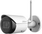 Dahua IPC-HFW1230DS-SAW - IP Camera