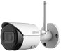 Dahua IPC-HFW1230DS-SAW - IP kamera