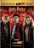 DANILO Harry Potter: Change It Up, A3 calendar - Wall Calendar