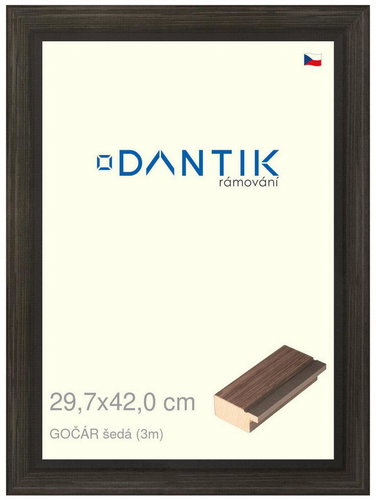 DANTIK frame 29,7 × 42, Gochier grey plexi clear - Photo Frame - Main image