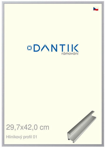 DANTIK frame 29,7 × 42, ALU profile 7001 Silver matt plexi clear - Photo Frame - Main image