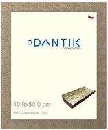 DANTIK frame 40 × 50, Golf champagne plexi clear - Photo Frame