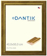 DANTIK frame 40 × 50, Oro Fino gold plexi clear - Photo Frame