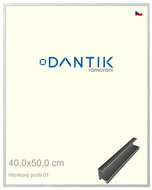 DANTIK frame 40 × 50, ALU profile 7001 Silver glossy plexi clear - Photo Frame