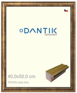 DANTIK frame 40 × 50, TRITON gold plexi clear - Photo Frame