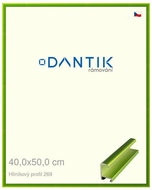 DANTIK frame 40 × 50, ALU profile 7269 Green Emerald polished plexi clear - Photo Frame