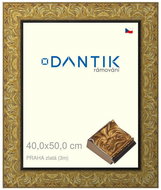 DANTIK frame 40 × 50, PRAGUE gold plexi clear - Photo Frame