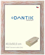 DANTIK frame 40 × 50, PAINT red large plexi clear - Photo Frame