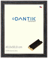 DANTIK frame 40 × 50, LYON black plexi clear - Photo Frame