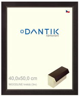 DANTIK frame 40 × 50, WOODLINE brown plexi clear - Photo Frame