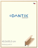 DANTIK frame 40 × 50, ALU profile 6001 gold glossy plexi clear - Photo Frame