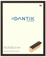 DANTIK frame 40 × 50, Metalli oidati lead plexi clear - Photo Frame