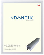 DANTIK frame 40 × 50, ALU profile 7005 Silver matt plexi clear - Photo Frame