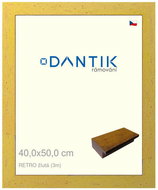 DANTIK frame 40 × 50, RETRO yellow plexi clear - Photo Frame