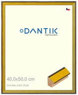 DANTIK frame 40 × 50, INCLINATA colouri yellow plexi clear - Photo Frame