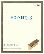 DANTIK frame 40 × 50, Metalli oidati champagne plexi clear - Photo Frame