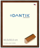 DANTIK frame 40 × 50, INCLINATA colouri brown plexi clear - Photo Frame