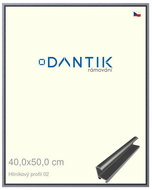 DANTIK frame 40 × 50, ALU profile 7002 Platinum matt plexi clear - Photo Frame