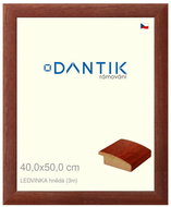 DANTIK frame 40 × 50, LEDVINKA brown plexi clear - Photo Frame