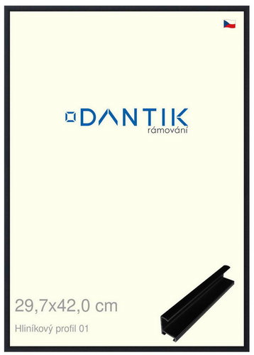 DANTIK frame 29,7 × 42, ALU profile 7001 Black matt plexi clear - Photo Frame - Main image
