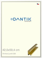 DANTIK frame 42 × 59,4, ALU profile 7269 Gold glossy plexi clear - Photo Frame