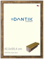 DANTIK frame 42 × 59,4, TRITON gold plexi clear - Photo Frame