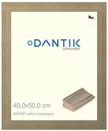 DANTIK frame 40 × 50, ANDRÉ large champagne glass clear - Photo Frame