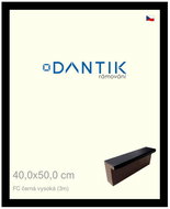 DANTIK frame 40 × 50, FC black high glass clear - Photo Frame