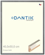 DANTIK frame 40 × 50, EVOQUE grey glass clear - Photo Frame