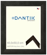 DANTIK frame 40 × 50, SARTORI leaves black. s. glass clear - Photo Frame