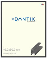 DANTIK frame 40 × 50, ALU profile 6220 Black matt glass clear - Photo Frame
