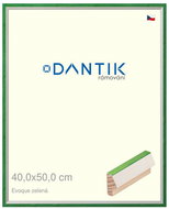 DANTIK frame 40 × 50, EVOQUE green glass clear - Photo Frame