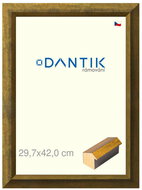 DANTIK frame 29,7 × 42, Forgia Gold plexi clear - Photo Frame