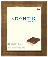 DANTIK frame 40 × 50, TRITON wide gold glass clear - Photo Frame