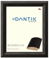 DANTIK frame 40 × 50, Rene black glass clear - Photo Frame