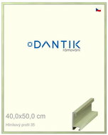 DANTIK frame 40 × 50, ALU profile 6035 Veneer coloured green pastel glass clear - Photo Frame